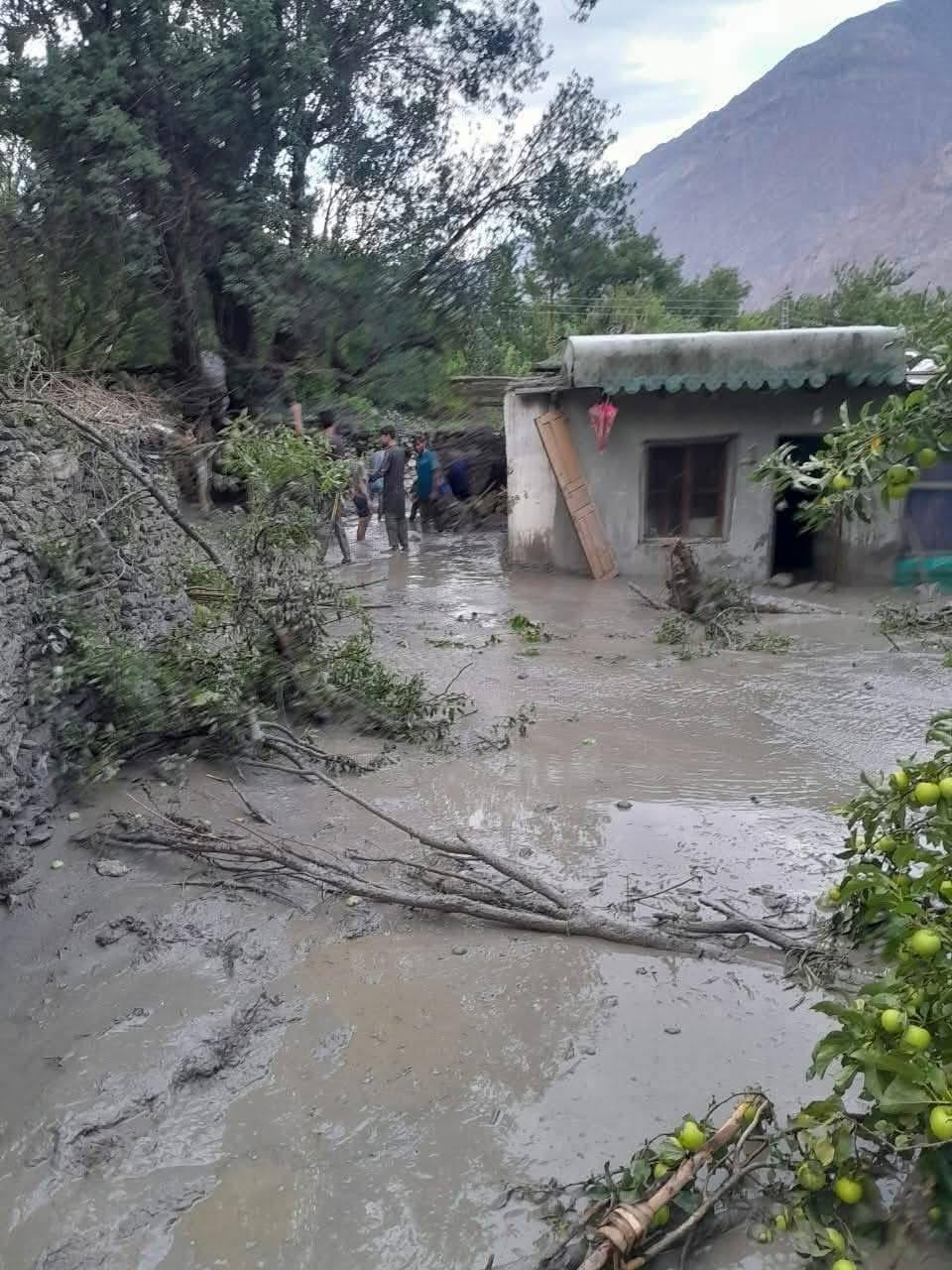 WhatsApp Image 2025-10-03 at 7.02.12 PM (1)